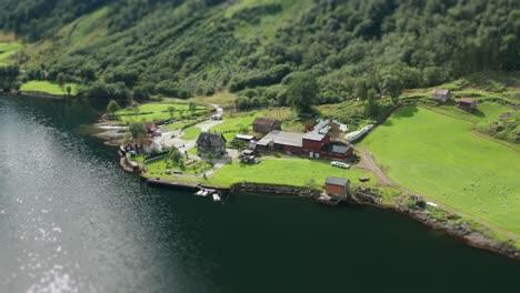 farms on the shore of the naeroyfjord