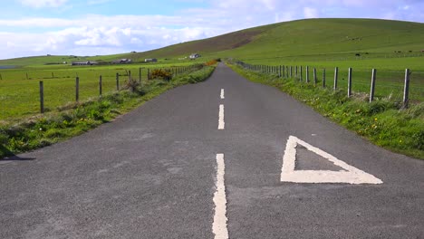 an empty road leads through brilliant green fields in the orkney islands of scotland