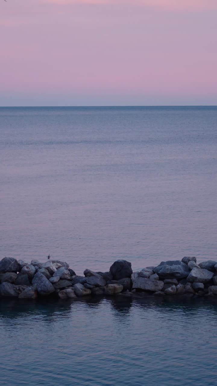 Seascape with rocks and birds at dawn