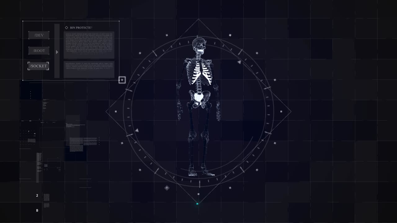 esqueleto abstracto trasfondo médico de la piel 4k