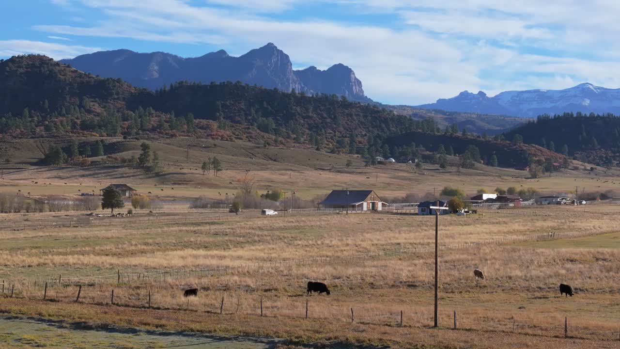 Scenic Colorado farm landscape with mountains and grazing cattle, tranquil mood