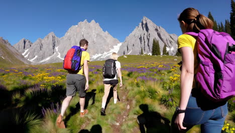 excursionistas en un valle de montaña
