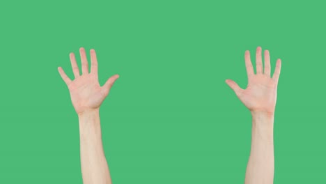 palmas de las manos abiertas en el fondo de la pantalla verde. primer plano de las manos de la palma izquierda y derecha que muestran diez dedos en el fondo verde chromakey.