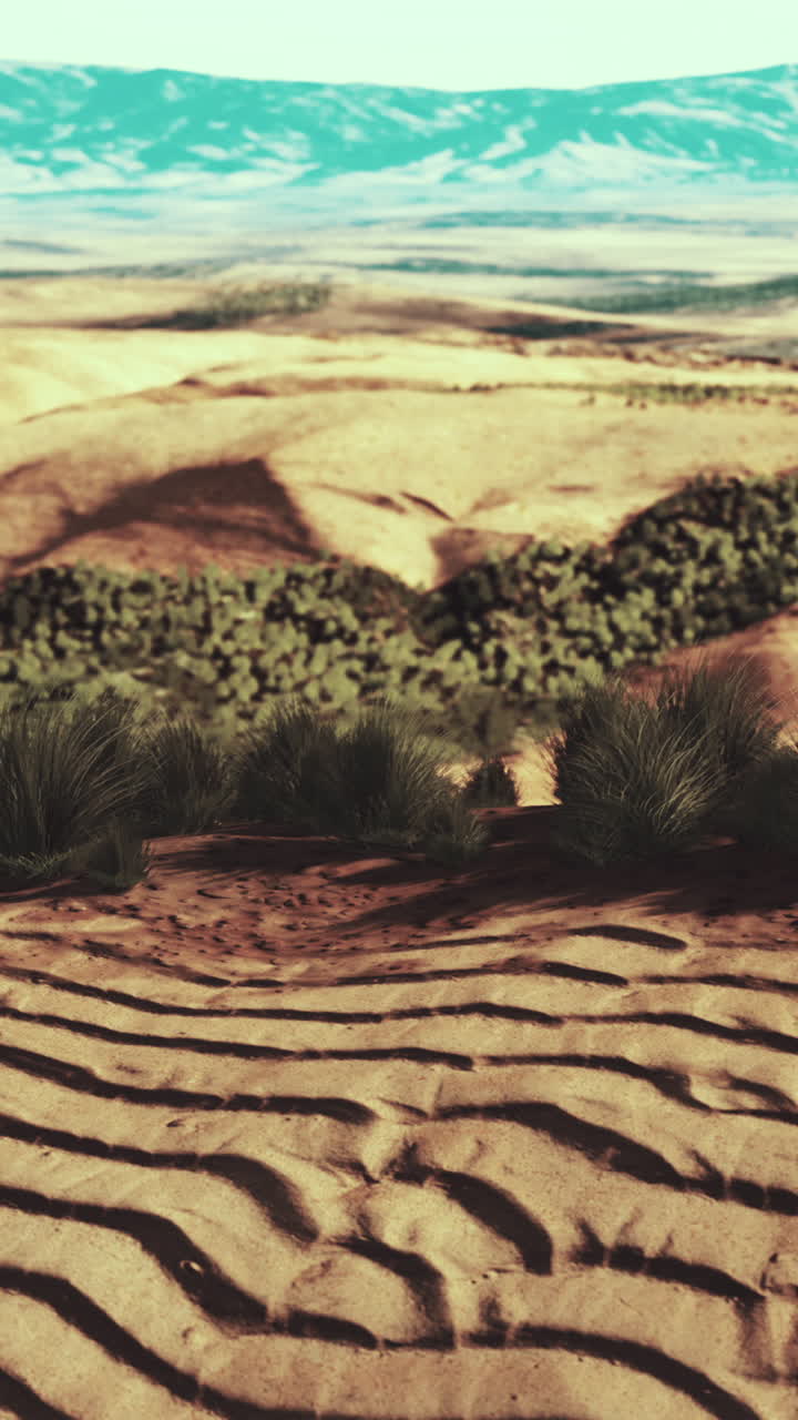 paisaje desértico pintoresco