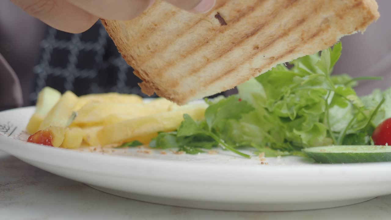 delicioso sándwich a la parrilla con papas fritas y ensalada