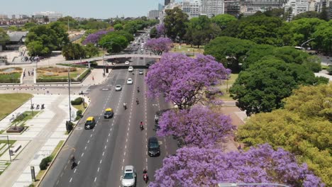 Malerische-Luftaufnahme:-Sonniger-Tag,-Verkehr-Auf-Der-Von-Bäumen-Gesäumten-Buenos-Aires-Avenue