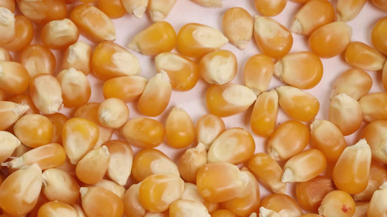 Corn kernels cascade onto a surface, creating a textured, golden layer. Bright lighting highlights the kernels' natural color