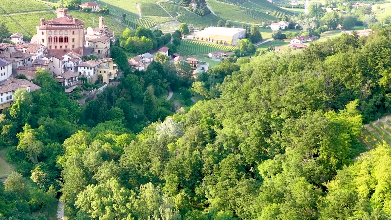 Veduta aerea del Castello di Grinzane Cavour e dei vigneti circostanti in Piemonte