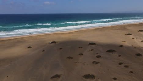 Volando-Sobre-La-Playa-De-Cofete,-Fuerteventura:-Vista-Aérea-En-Círculo-Hasta-La-Orilla-De-La-Gran-Playa-Y-Un-Intenso-Color-Azul-Del-Océano.