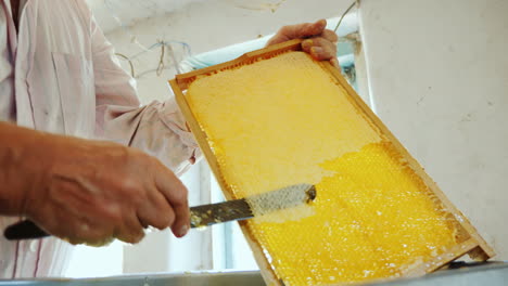 manual labor in the apiary the man opens the honeycomb on the frame with honey 4k video