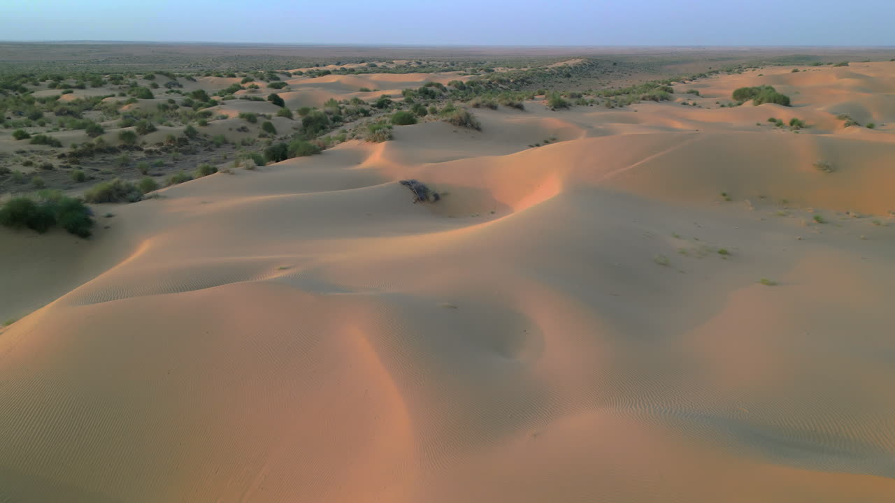 un vasto paisaje de dunas interminables bajo un cielo azul claro, bañado en la cálida luz del sol. arbustos verdes esparcidos se elevan por encima de la arena dorada jaisalmer rajasthan india 4k