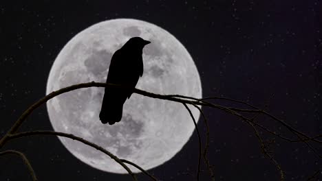 Silueta-De-Cuervo-Posado-En-La-Rama-De-Un-árbol-Y-Observando-La-Luna-Llena-En-Ascenso-En-El-Cielo---Lapso-De-Tiempo