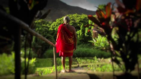 a native hawaiian stands looking out at his land