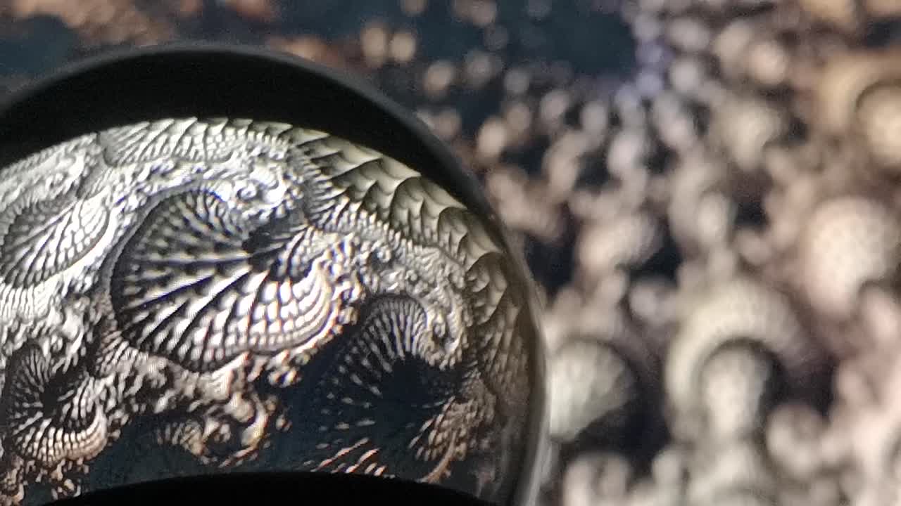 회전하는 크리스탈 볼 프랙탈 드래곤 피부 미래주의 추상 스파이크 사이버 효과