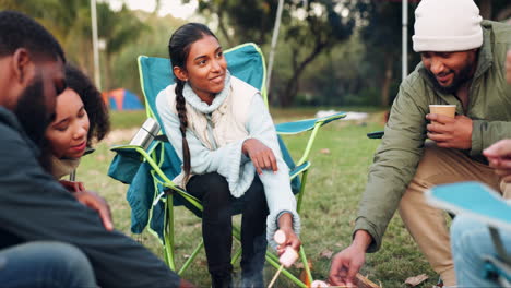 Camping,-bonfire-and-friends-with-marshmallow