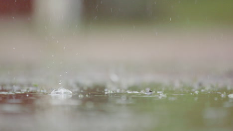 slow motion, closeup - heavy rain droplets in a puddle