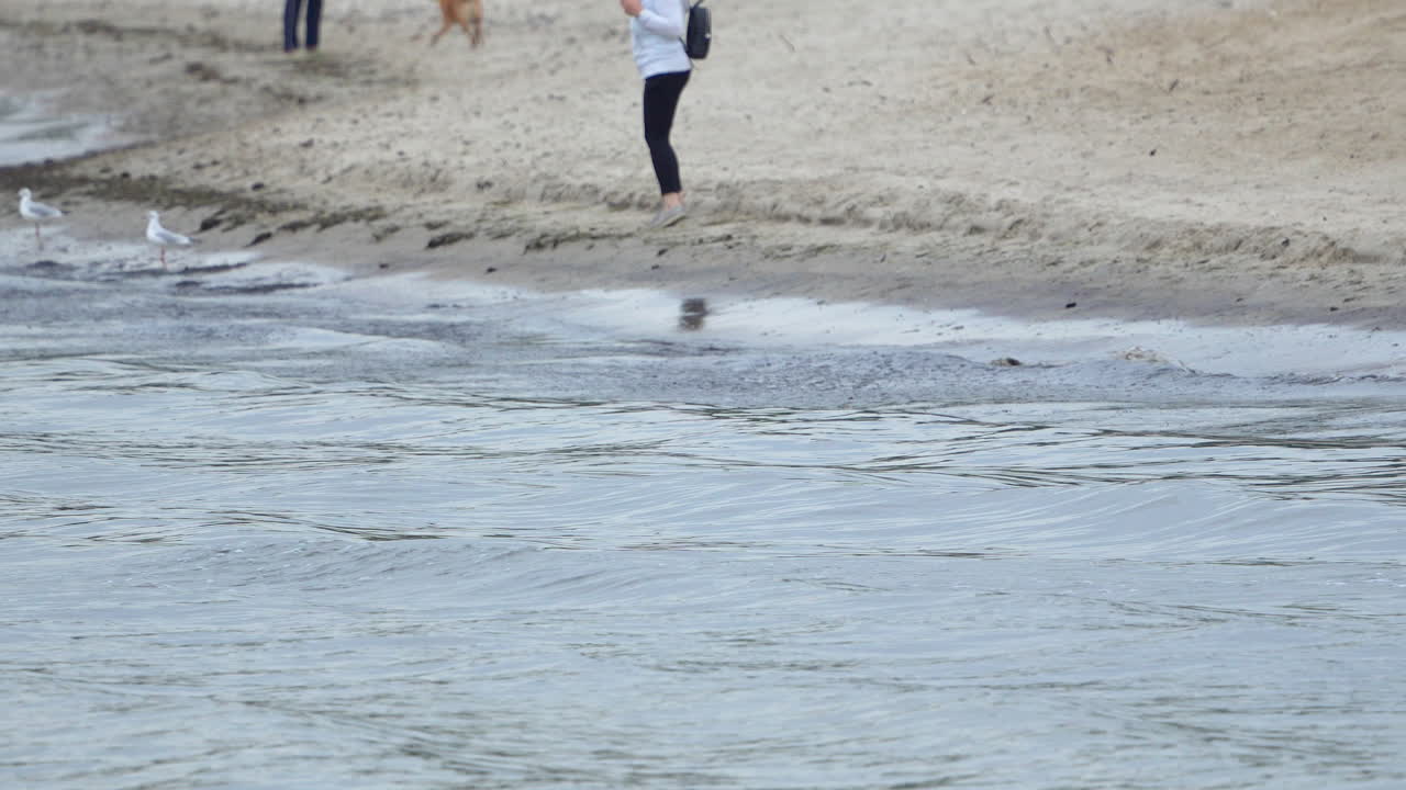 사람들이 해변을 산책하면서 해안에 도달하는 물결의 편안한 장면