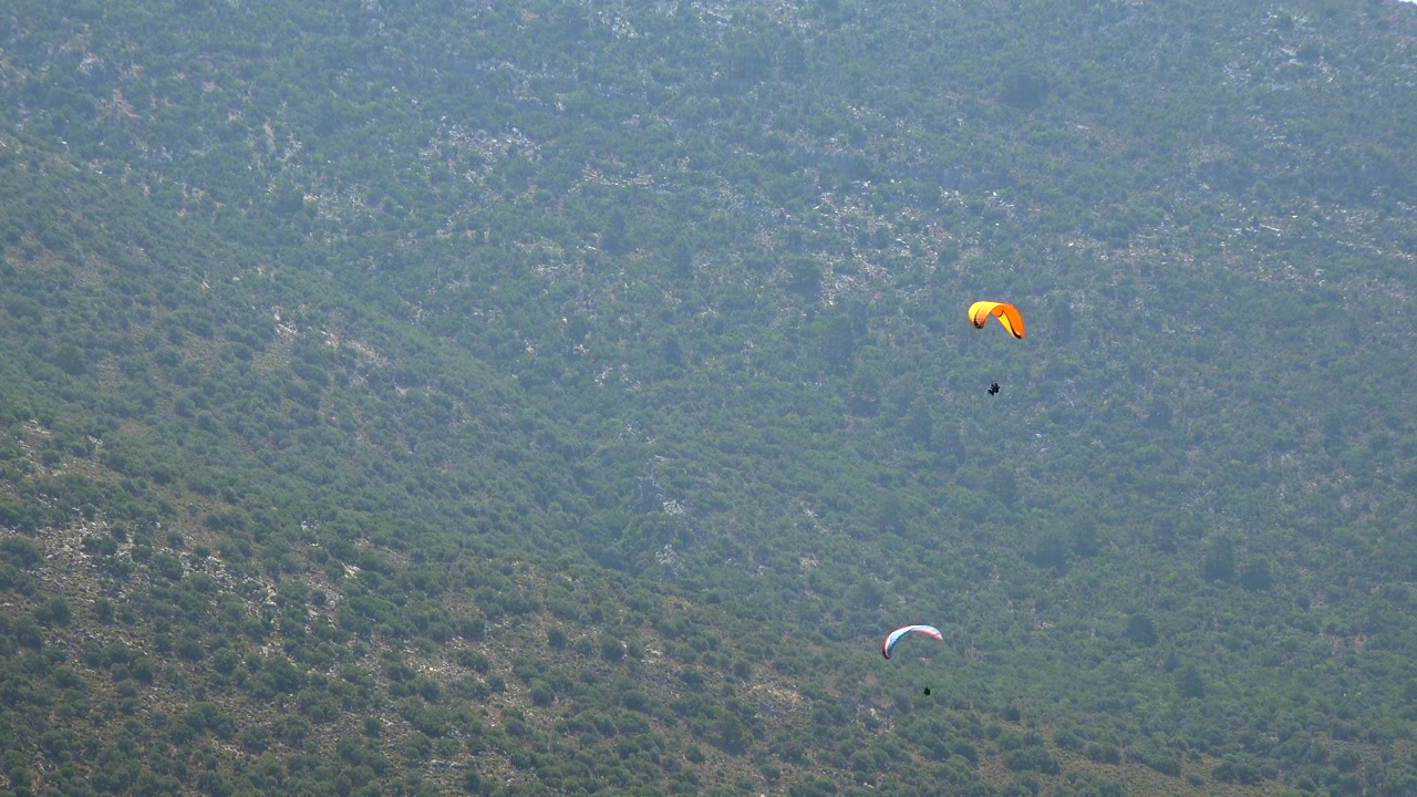 Paragliders, der svæver over en frodig grøn bjergskråning.