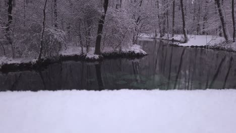 nevadas suaves a través de niebieskie zrodla fríos manantiales azules nevados piscina arbolada, polonia paisaje invernal