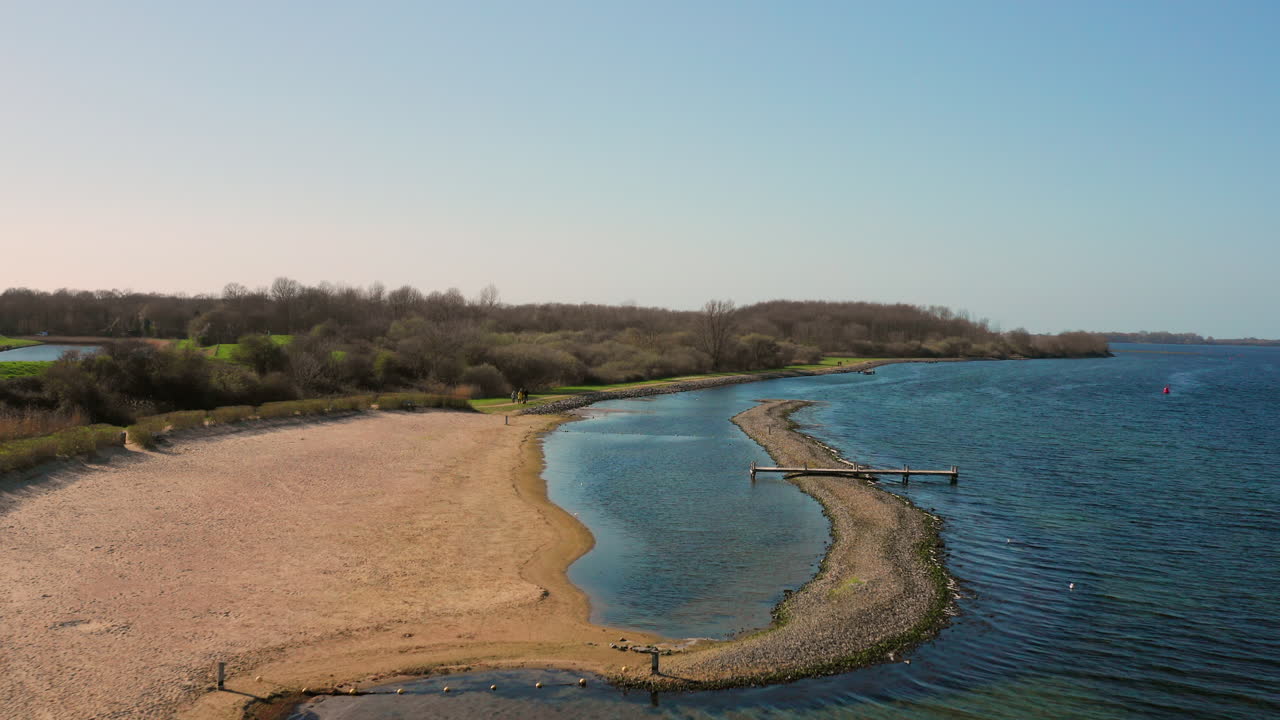 Beach with trees on coast