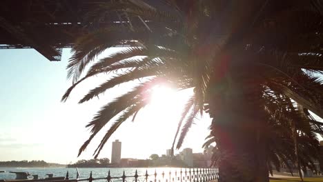 Hermoso-Primer-Plano-Panorámico-Del-Puente-Del-Puerto-De-Sydney-Debajo-Del-Puente