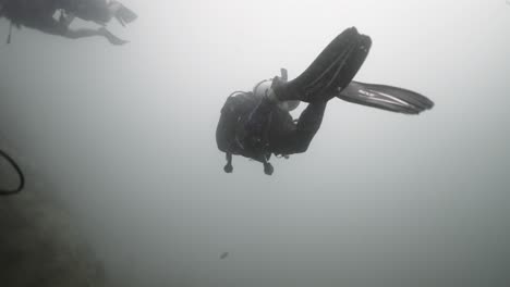 two scuba divers in murky underwater conditions