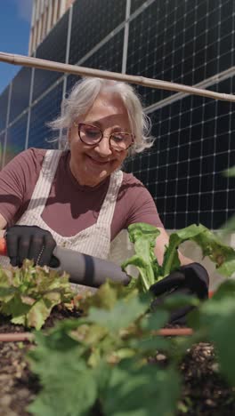 senior woman gardening in front of solar panels