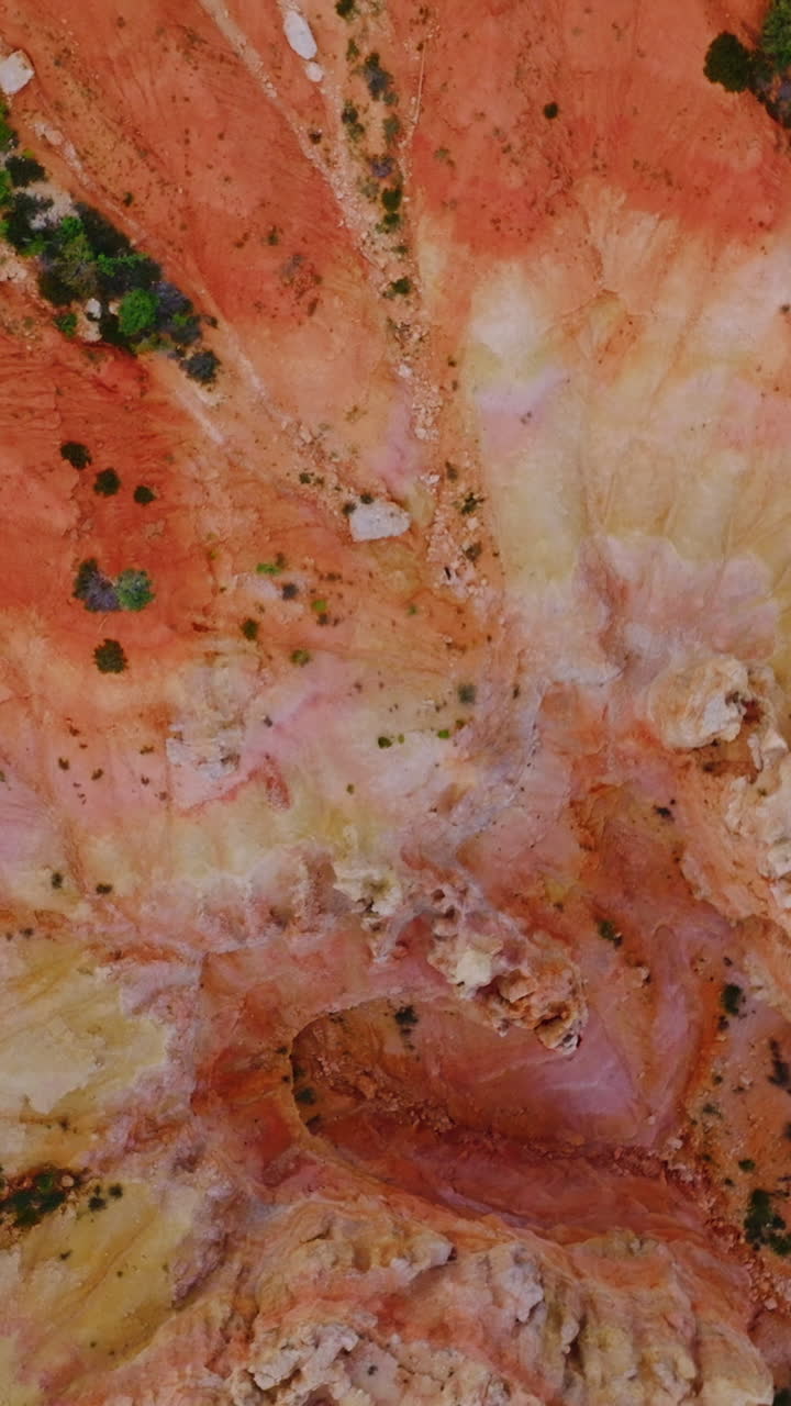 Weird rock columns in Bryce Canyon, Utah. Little greenery growing near the road in national park. Top view. Vertical video