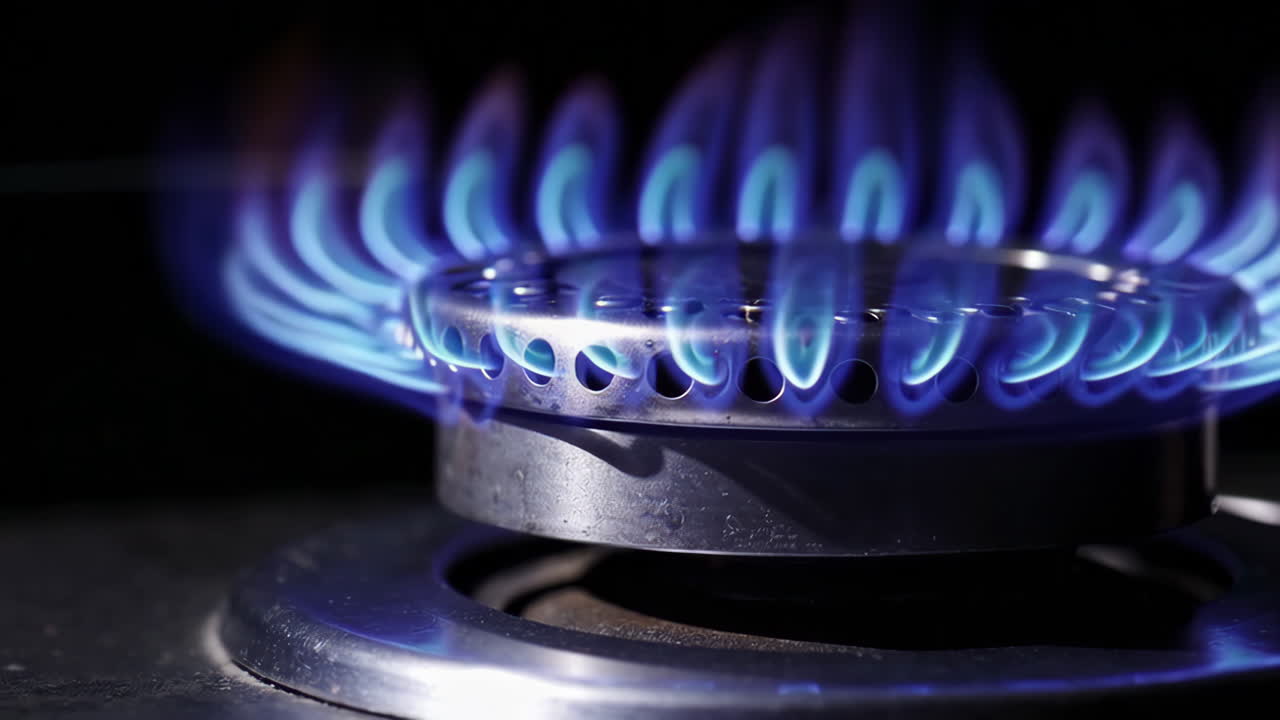 파란 불꽃을 가진 가스 스토브 버너의 클로즈업