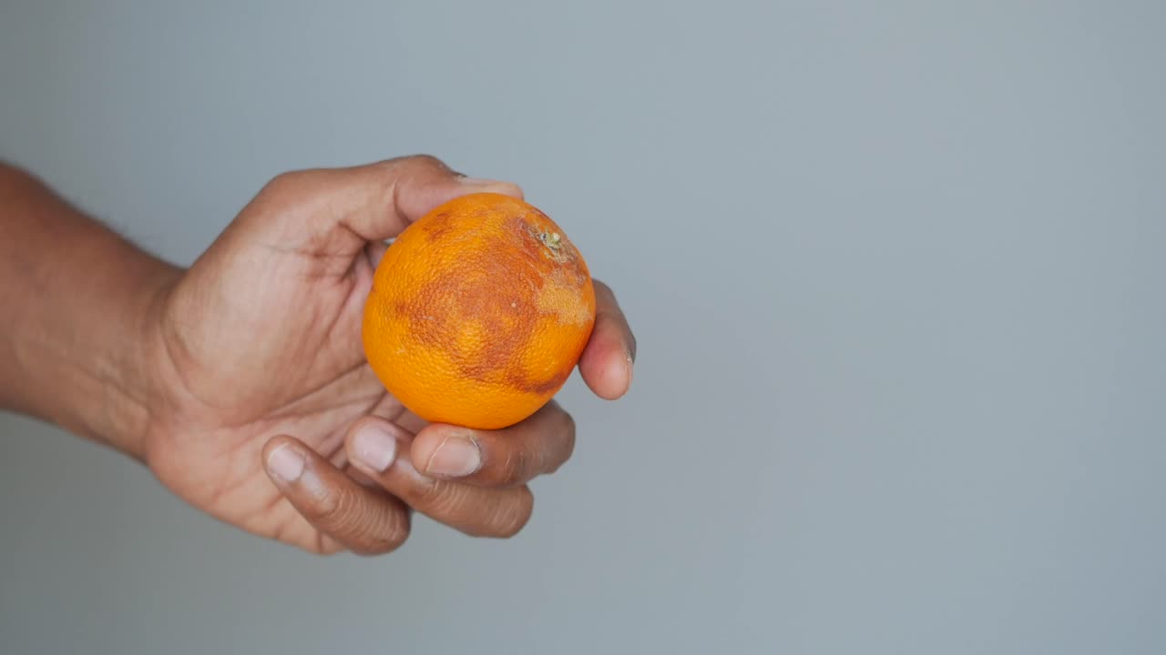 Hand Holding a Blood Orange