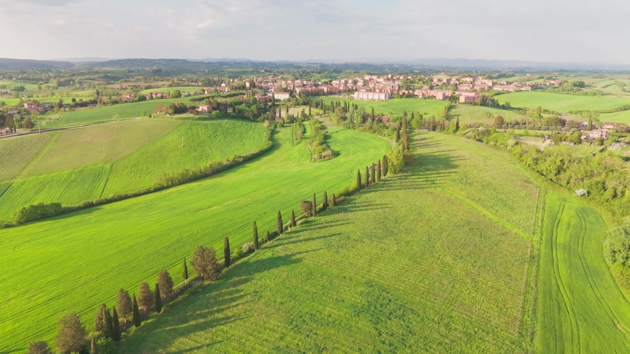 Drone che si solleva e scivola sul paesaggio toscano vicino a San Rocco a Pilli, poi segue una fila di cipressi lungo la strada nella calda luce del pomeriggio. Italia, vicino a Siena.