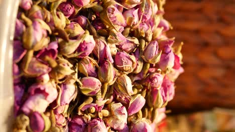 close-up of dried rosebuds