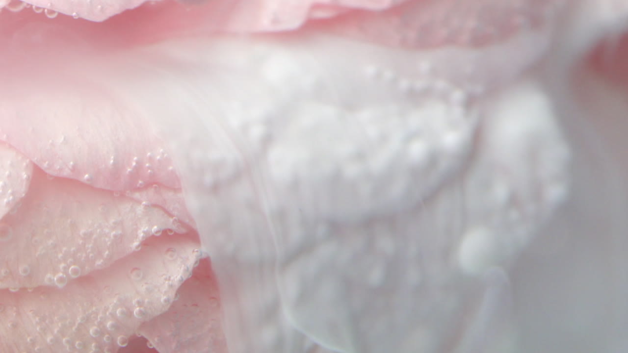 Pink Rose with Creamy Texture