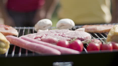primer plano de verduras y carne en la parrilla de barbacoa en verano