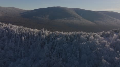 Los-árboles-Del-Bosque-Nevado-Revelaron-Un-Paisaje-Montañoso-Durante-El-Invierno-En-El-Sur-De-Quebec,-Canadá