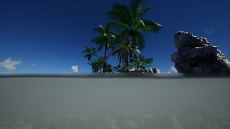 agua fangosa marrón y palmeras en la isla