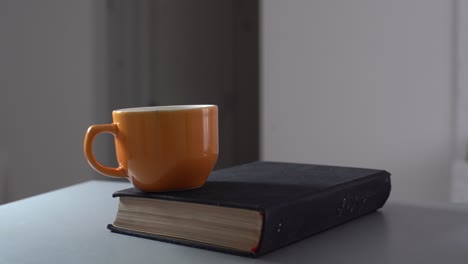 vintage old books on wooden deck tabletop against wall