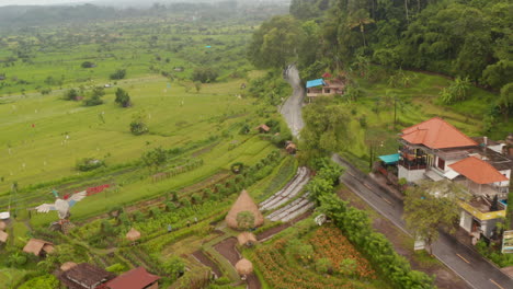 Luftaufnahme-Nach-Einem-Lastwagen,-Der-Durch-Ländliche-Landschaft-Und-Dörfer-In-Bali-Fährt.-Landwirtschaftliche-Felder-Und-üppige-Grüne-Regenwaldvegetation-In-Tropischer-Asiatischer-Landschaft