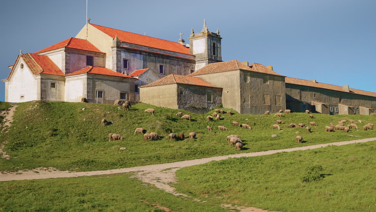 Vecchio monastero con pecore in Portogallo