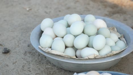 pale blue eggs in metal bowl