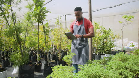 african american man using tablet in greenhouse, managing plants and taking notes