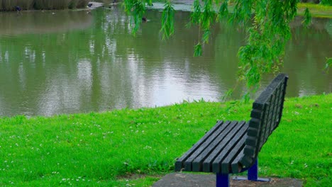 stool-on-the-lake-side-view,-under-the-willow-tree