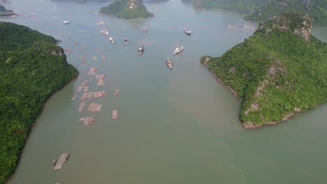 vista aérea de arriba hacia abajo de muchos barcos anclados alrededor de rocas calizas en la bahía de ha long al amanecer.