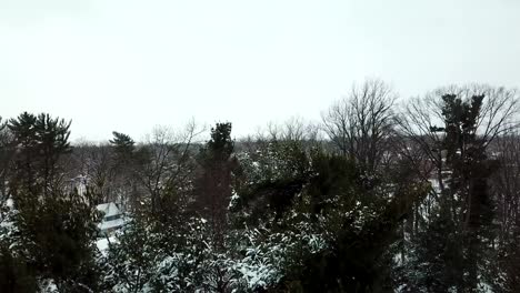 Snowfall-Rising-up-Drone-shot-of-Tree