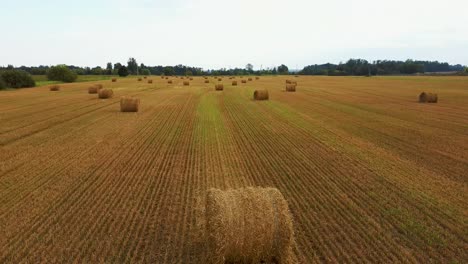 el campo con rollos de heno