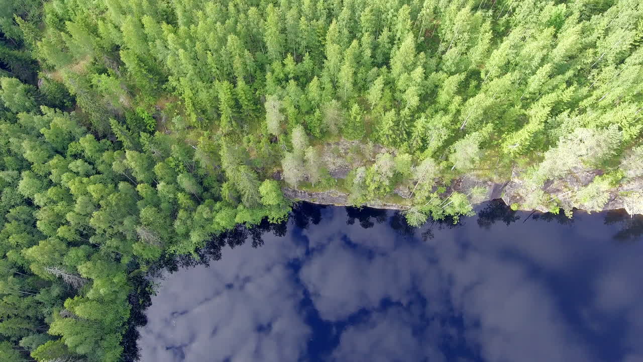 toma aérea de un bosque boreal y revelando un impresionante lago tranquilo con reflejos de espejo del cielo
