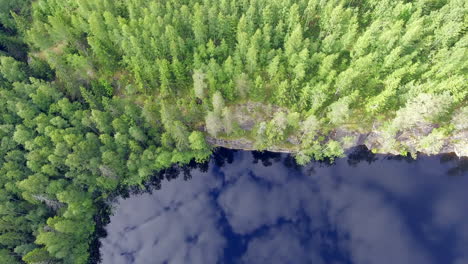 Aerial-drone-shot-of-a-boreal-forest-and-revealing-stunning-calm-lake-with-mirror-reflections-from-the-sky