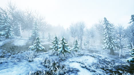 winter storm in a forest in winter
