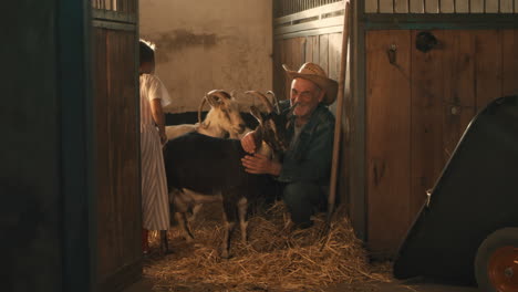 grandfather and granddaughter interact with goats in a barn