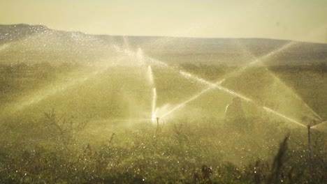 Sprinklerbewässerungssystem-Auf-Dem-Feld-In-Zeitlupe.